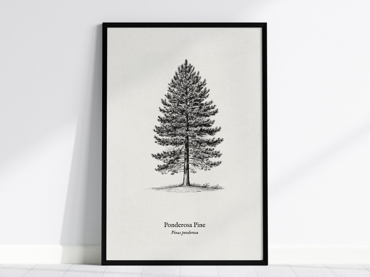 Pen & Ink Flora Gallery Wall | Set of 3 | Pen and Ink Flora | Housewarming Gift