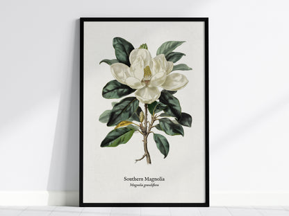 Pen & Ink Flora Gallery Wall | Set of 4 | Pen and Ink Flora | Living Room Decor