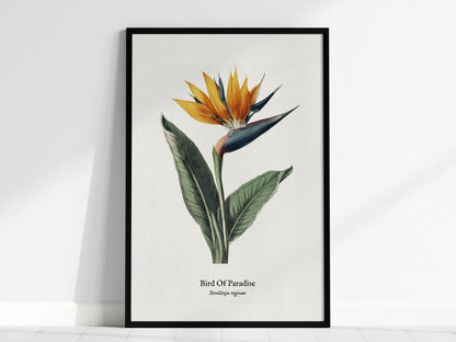 Los Angeles Travel Gallery Wall | Set of 5 | Curated Framed Art Set