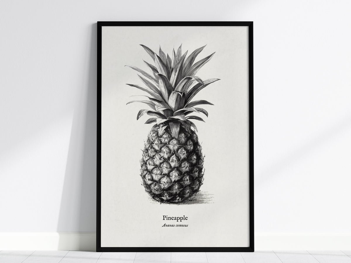 Pen & Ink Flora Gallery Wall | Set of 3 | Pen and Ink Flora | Housewarming Gift