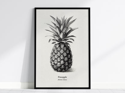 Pen & Ink Flora Gallery Wall | Set of 4 | Pen and Ink Flora | Living Room Decor