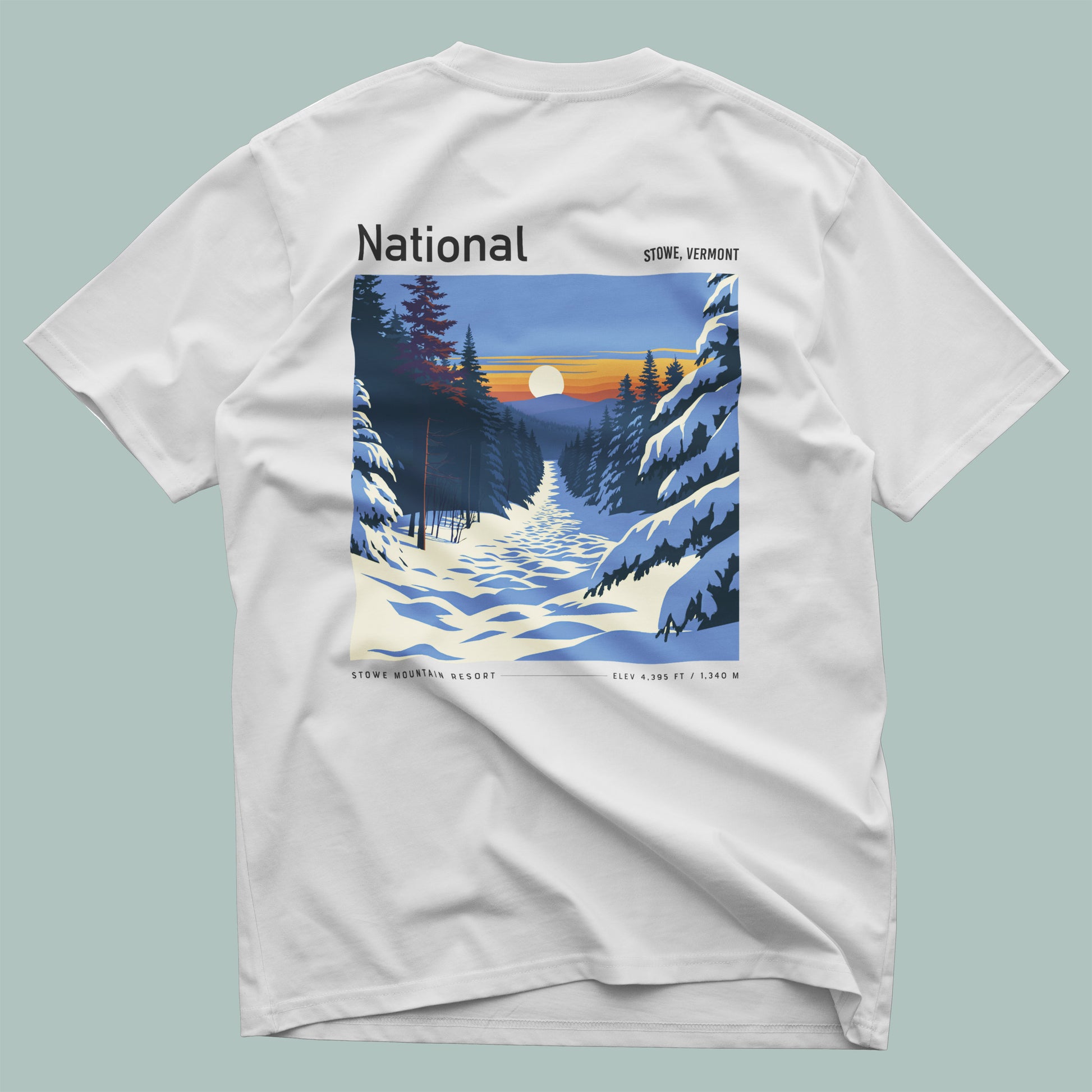 Pocket Tee Back 01
