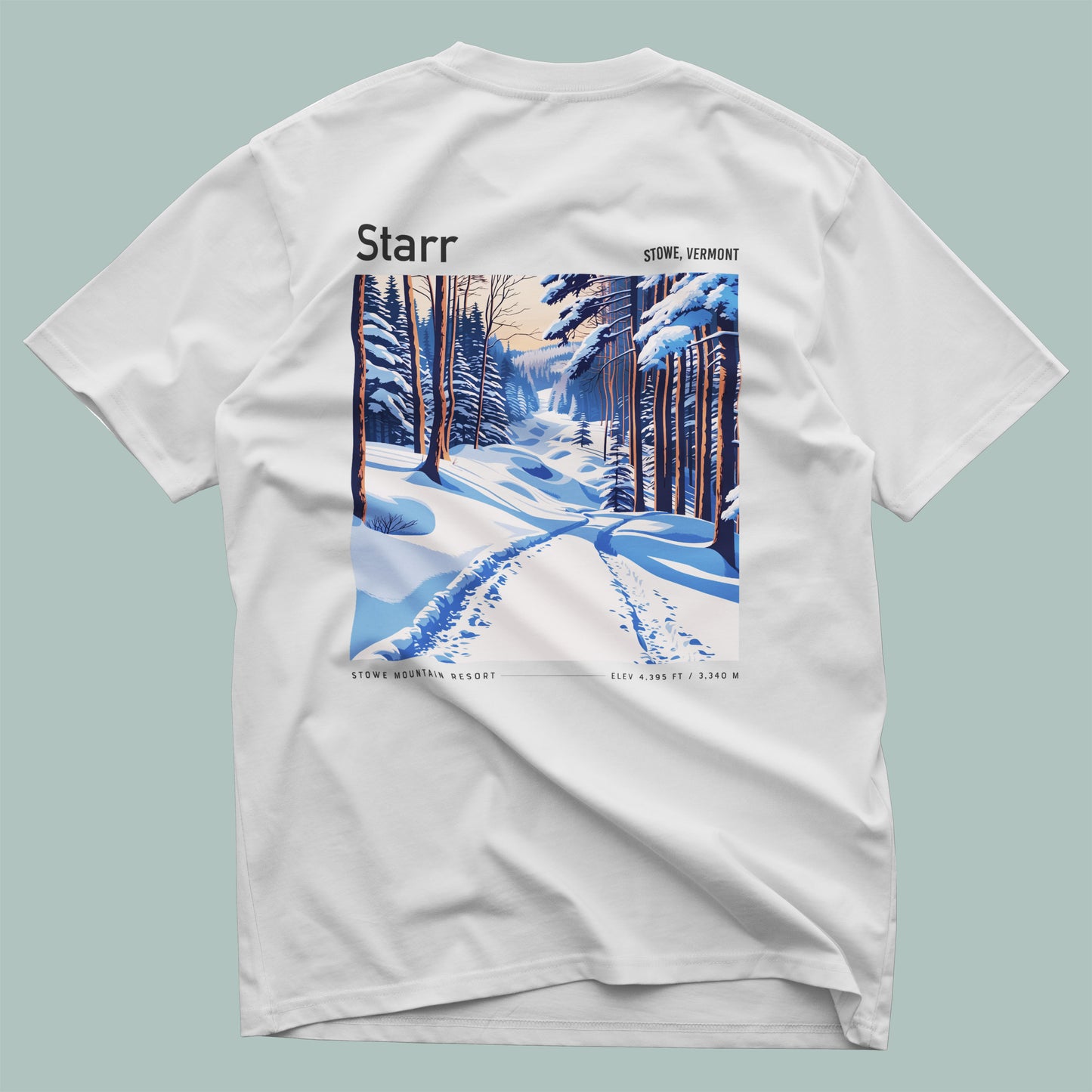 Pocket Tee Back 01