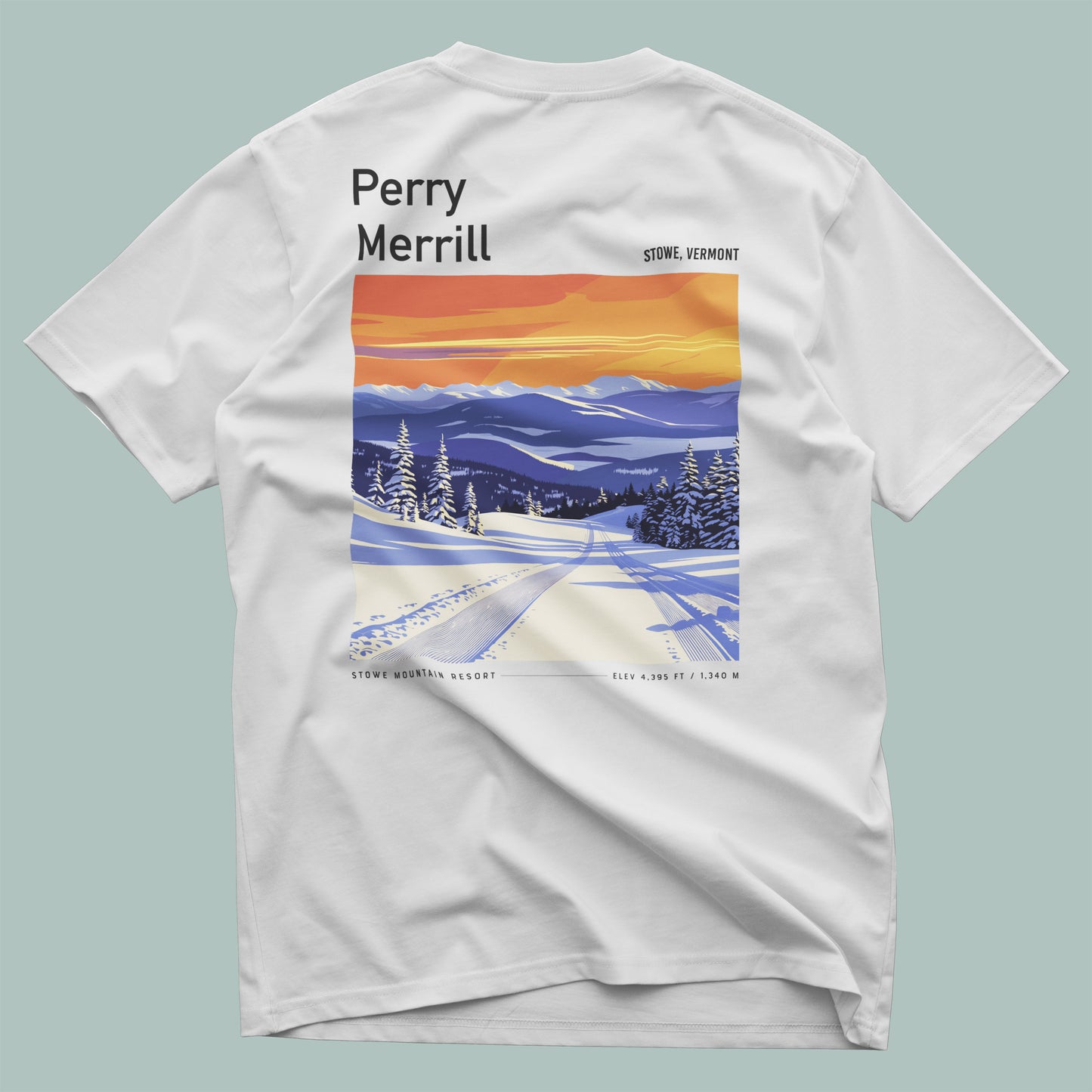 Pocket Tee Back 01