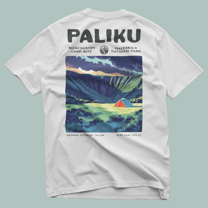 Paliku Hiking T-Shirt | Hiker Gift | Haleakala Backcountry Tee — design printed on the back of the t-shirt