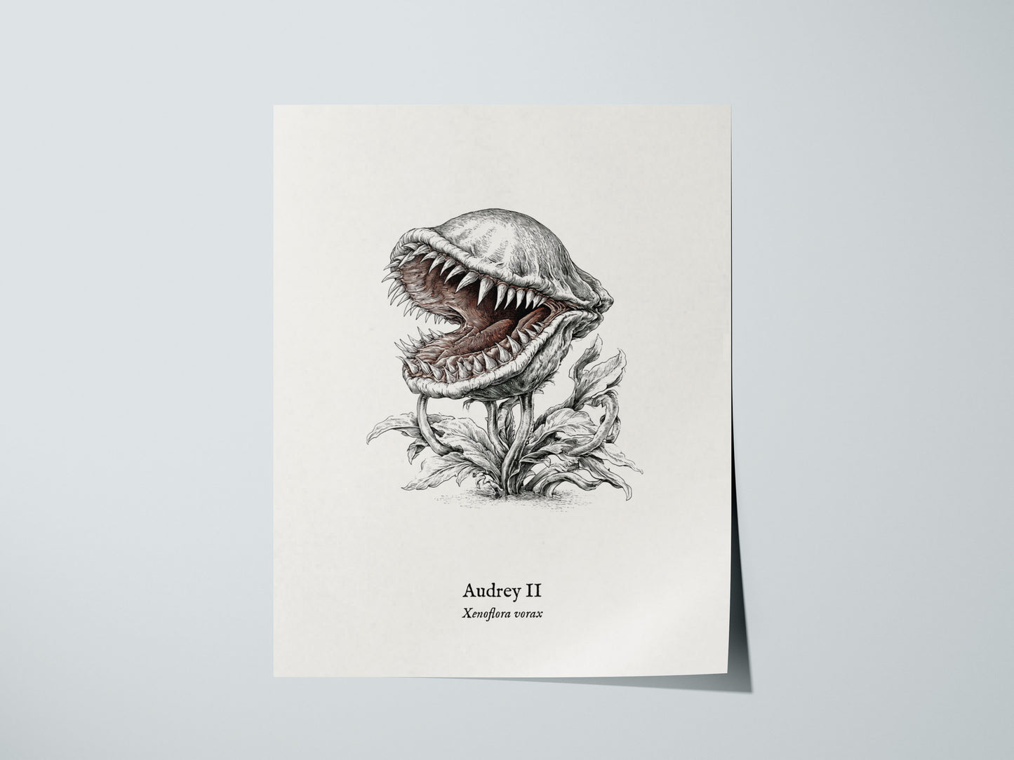 Print 01