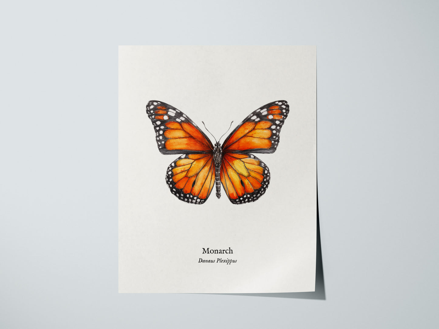 Print 01
