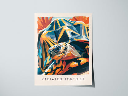Radiated Tortoise Poster | Exotic Wildlife Portrait Fine Wall Art — giclée print detail on matte paper
