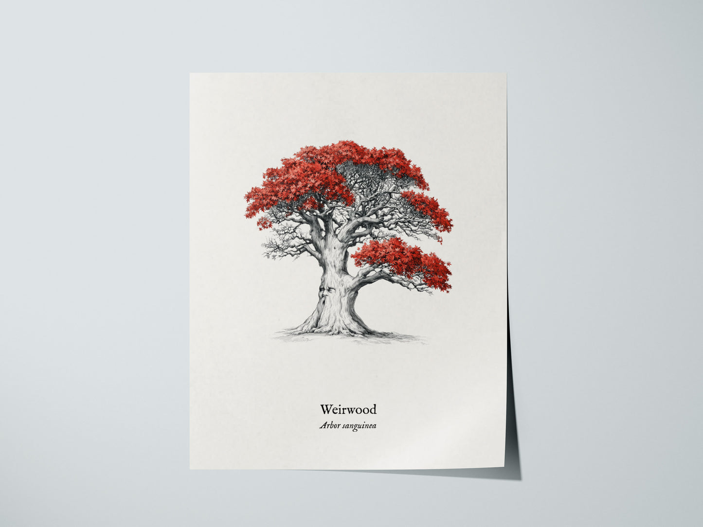 Print 01