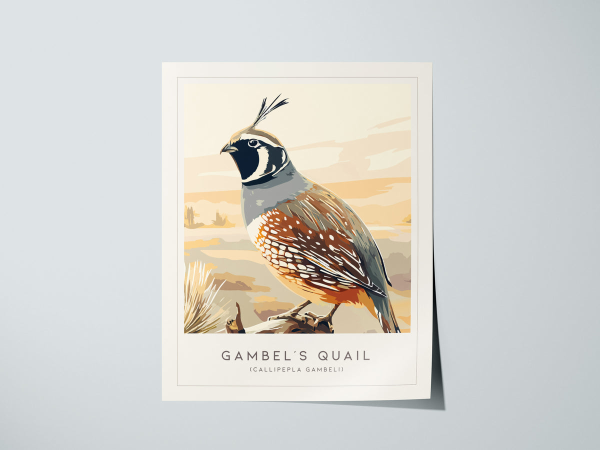 Gambel's Quail, Callipepla gambeli Poster | Desert Bird Wall Art Wildlife Print — giclée print detail on matte paper