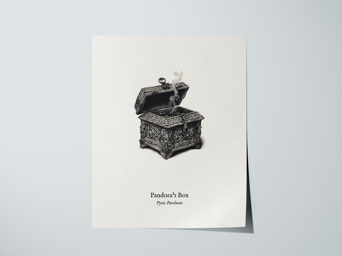 Pandora's Box Poster | Pyxis Pandorae Pen and Ink Print Vintage Scientific Illustration Wall Art — giclée print detail on mat