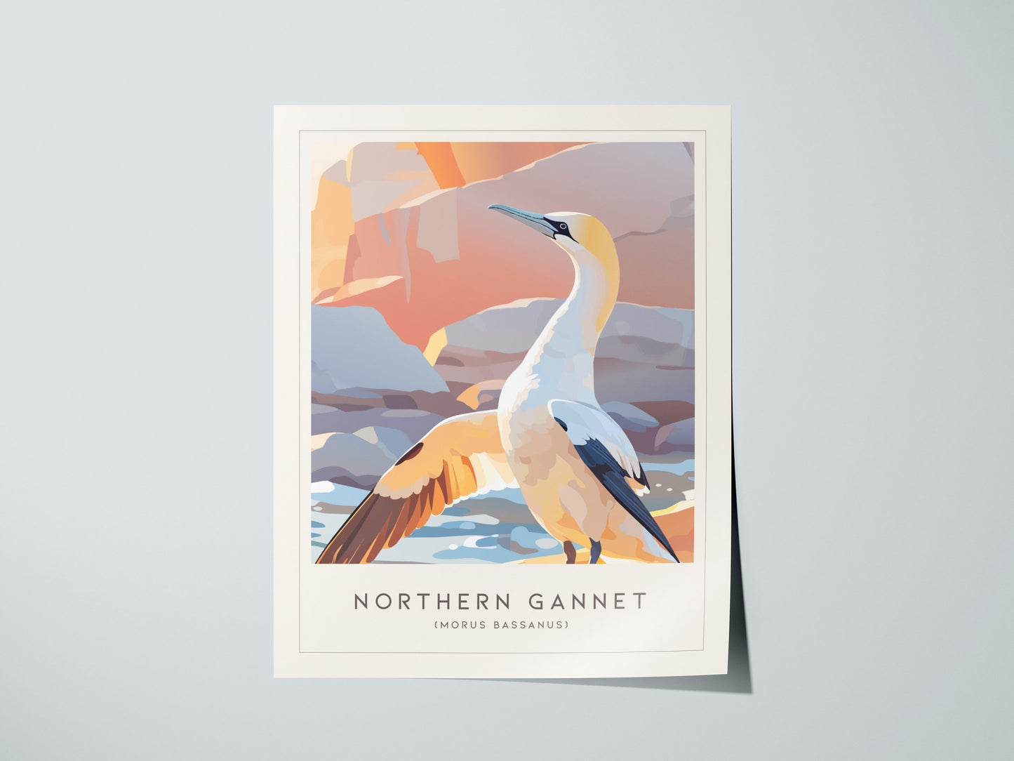 Northern Gannet, Morus bassanus Poster | Striking Seabird Wildlife Print Wall Art — giclée print detail on matte paper