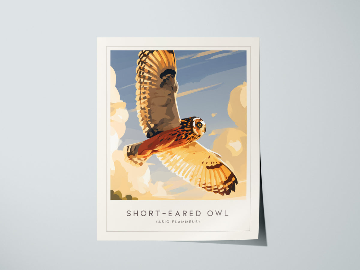 Short-eared Owl, Asio flammeus Poster | Raptor Wildlife Print Nature Wall Art — giclée print detail on matte paper