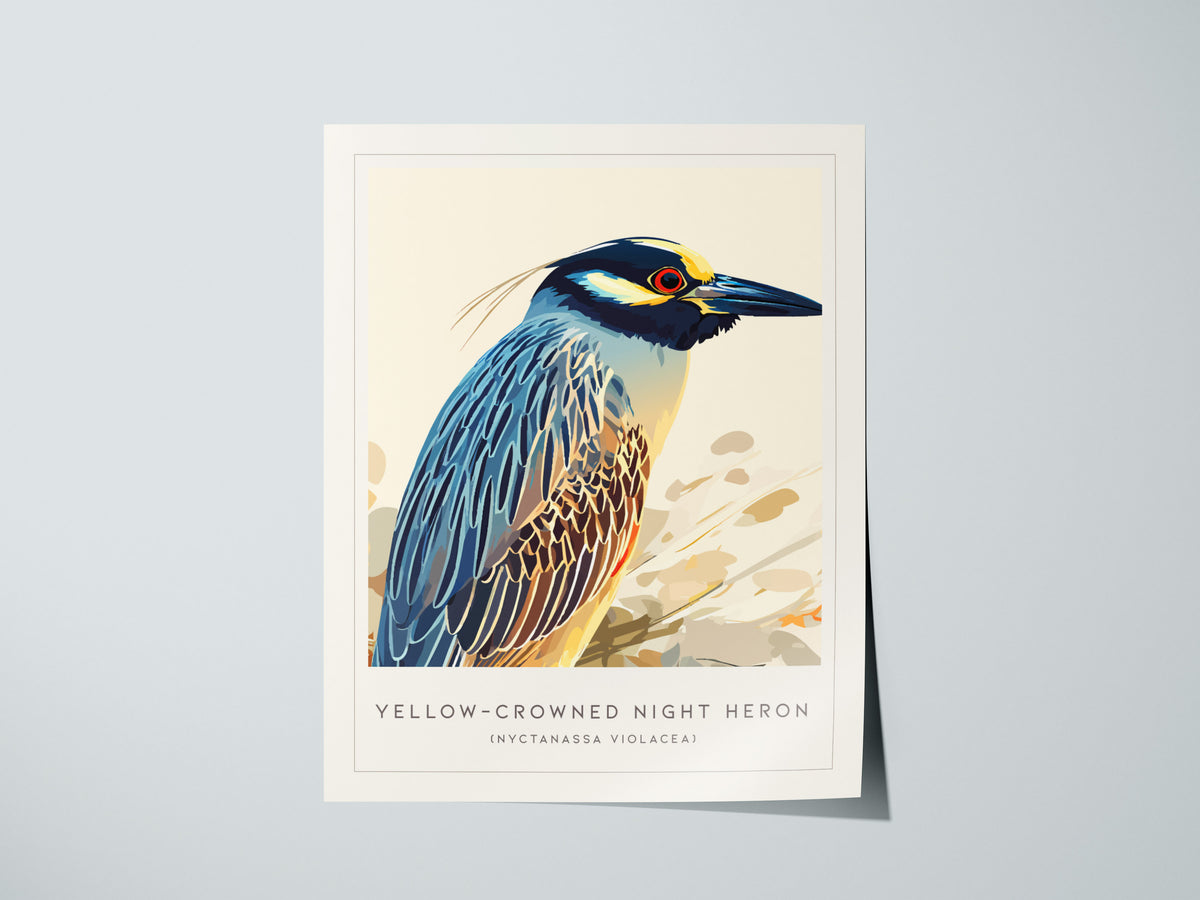 Yellow-crowned Night Heron, Nyctanassa violacea Poster | Elegant Wading Bird Wall Art — giclée print detail on matte paper