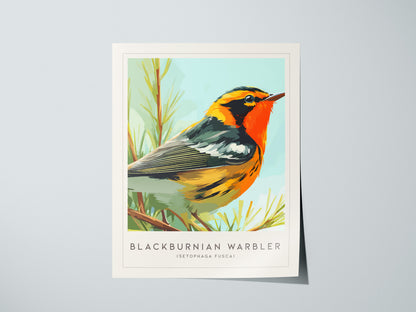 Blackburnian Warbler, Setophaga fusca Poster | Fiery Songbird Nature Print Wall Art — giclée print detail on matte paper