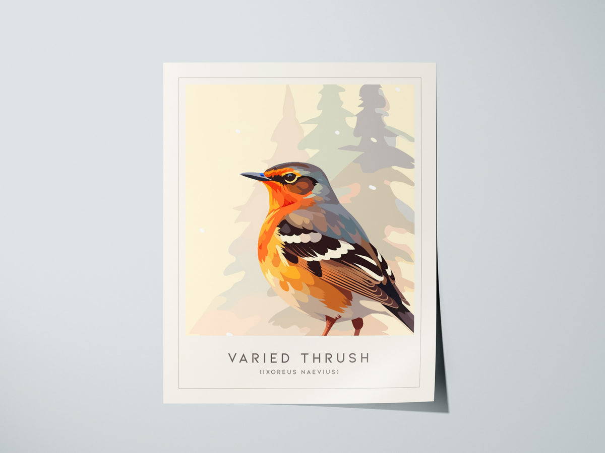 Varied Thrush, Ixoreus naevius Poster | Bold Forest Songbird Nature Poster Wall Art — giclée print detail on matte paper