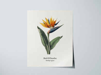 Print 01
