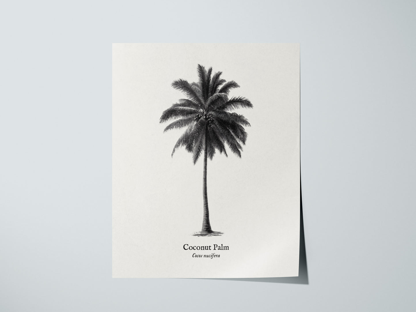 Print 01