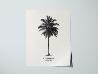 Print 01