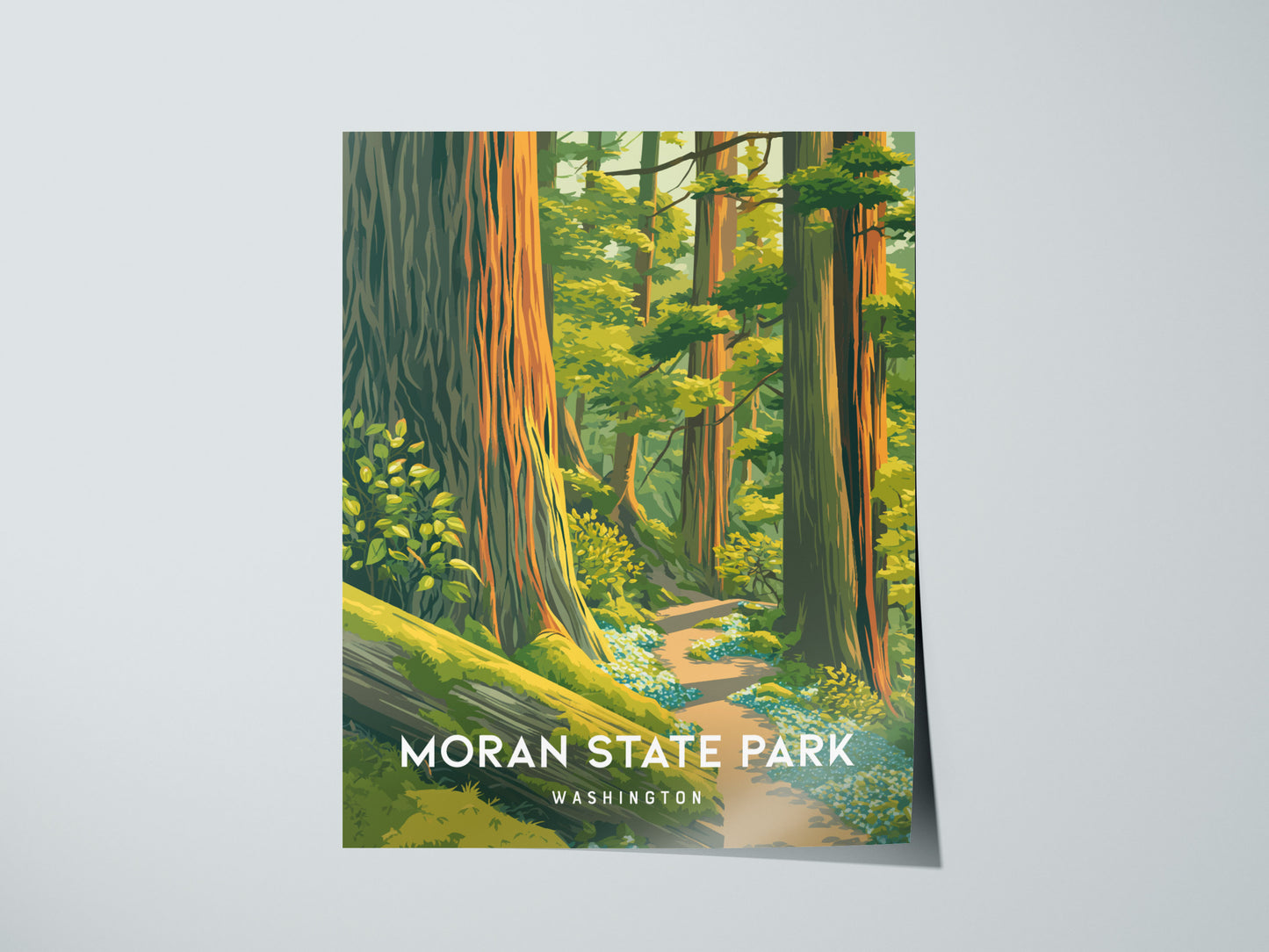 Moran State Park, Washington Poster | Mountain Lake & Evergreen Forest Wall Art — giclée print detail on matte paper