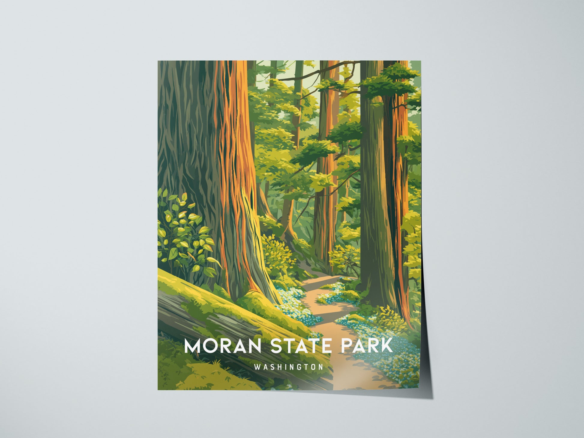 Moran State Park, Washington Poster | Mountain Lake & Evergreen Forest Wall Art — giclée print detail on matte paper