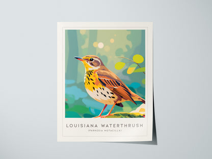 Louisiana Waterthrush, Parkesia motacilla Poster | Streamside Songbird Nature Wall Art — giclée print detail on matte paper
