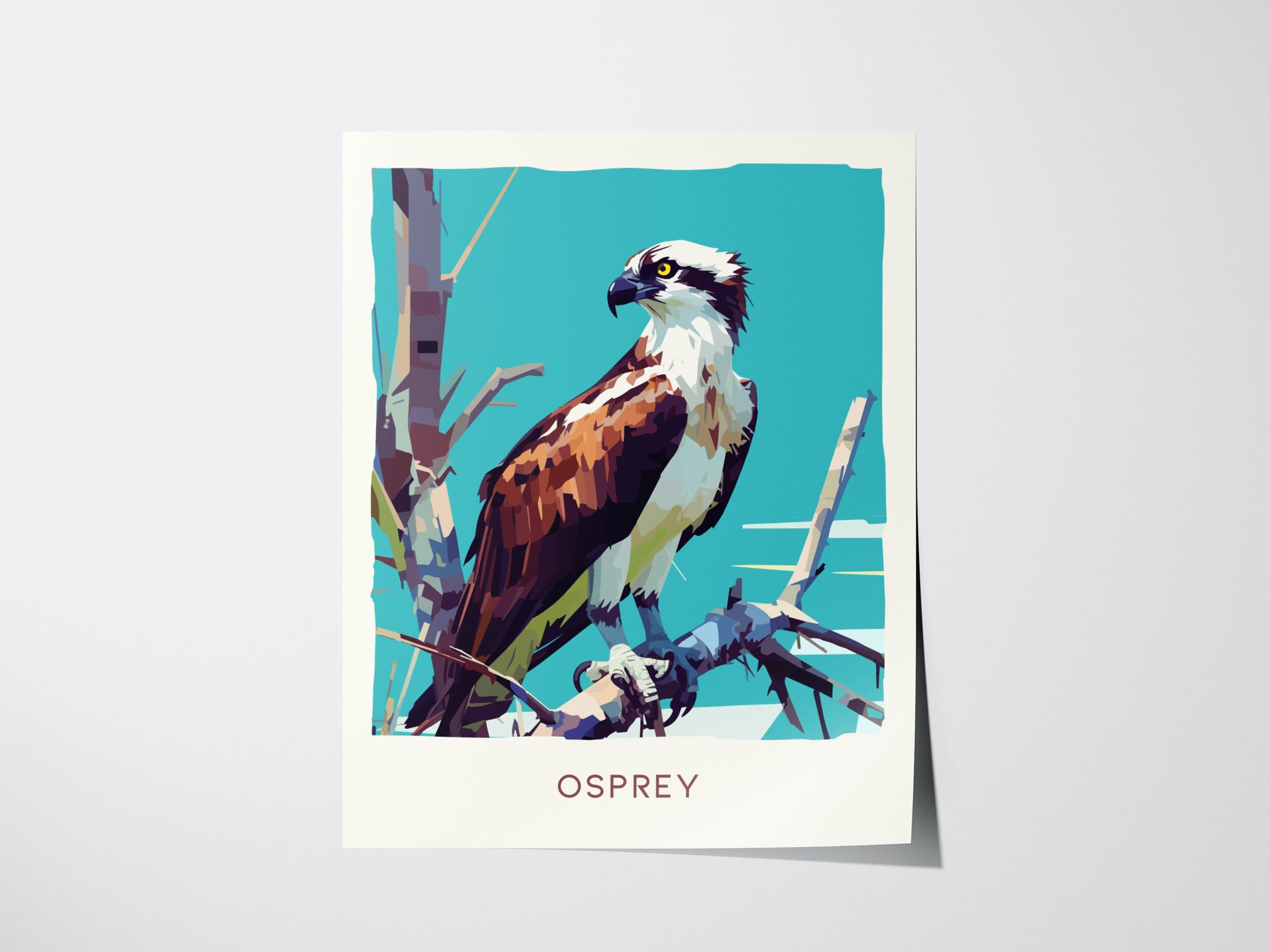 Osprey Poster | Florida Bird of Prey Wall Art Print