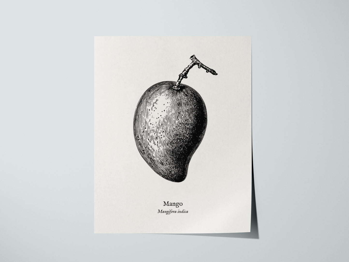 Print 01