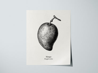 Print 01