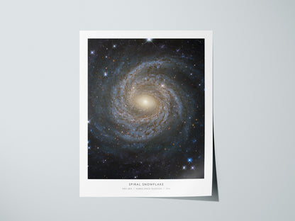 Print 01