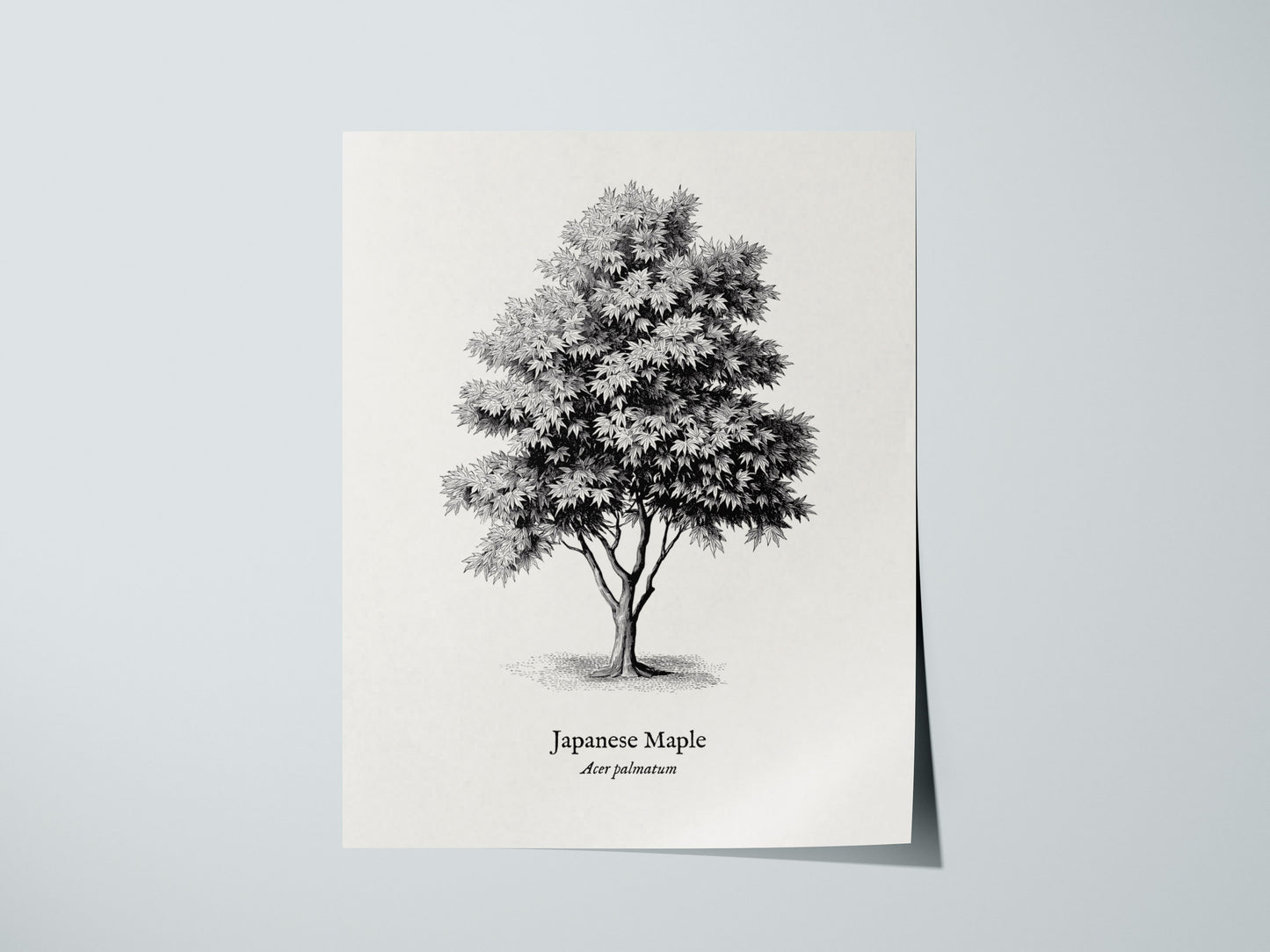 Print 01