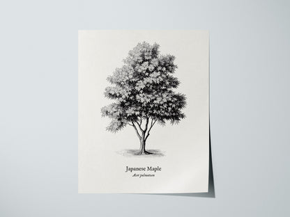Print 01