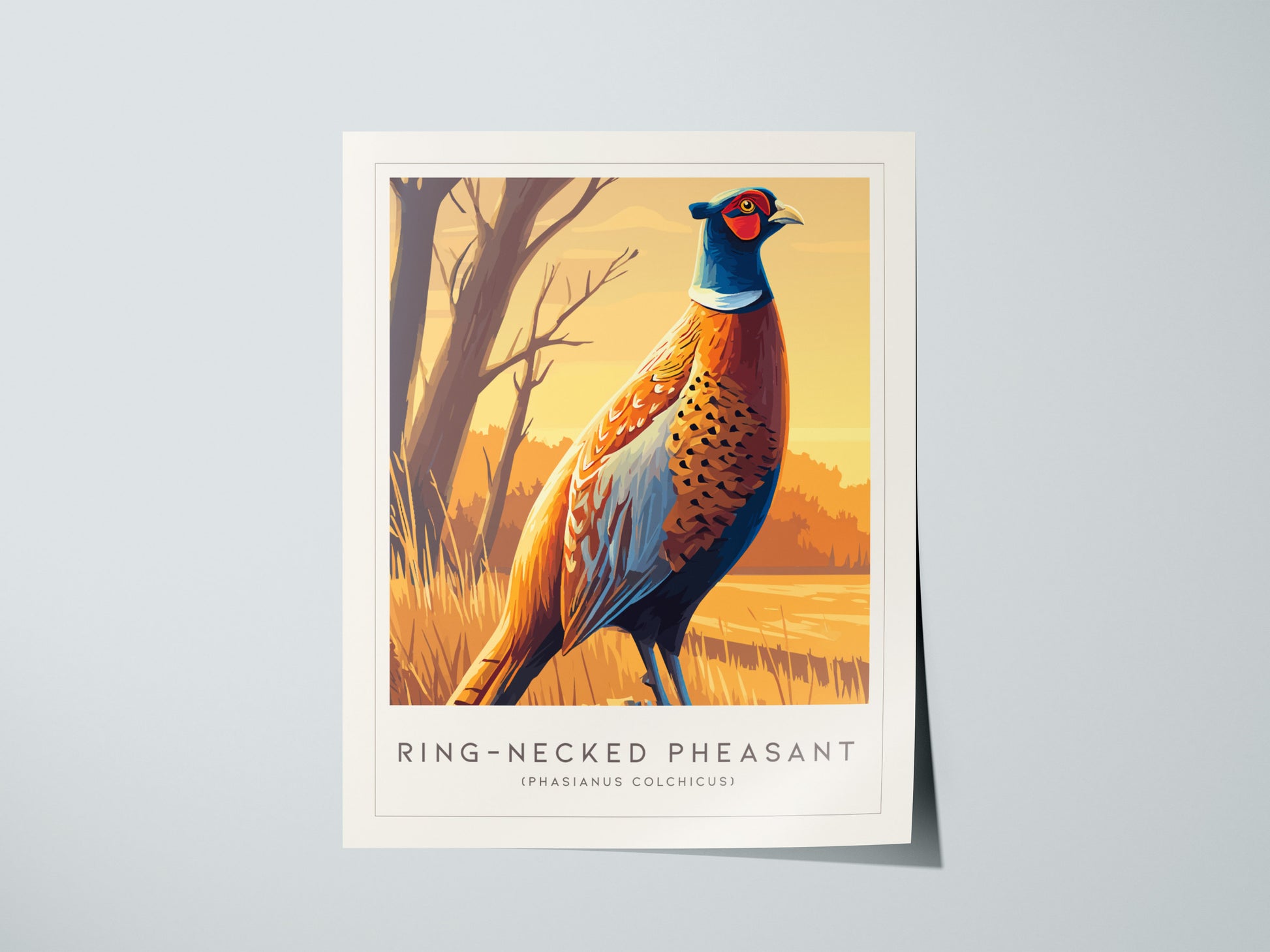 Ring-necked Pheasant Poster | Vibrant Gamebird Wildlife Art Wall Art — giclée print detail on matte paper