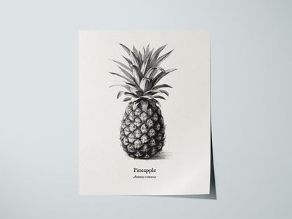 Print 01