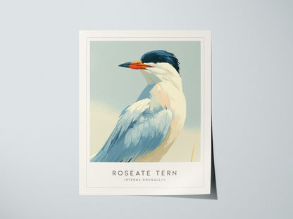 Print 01