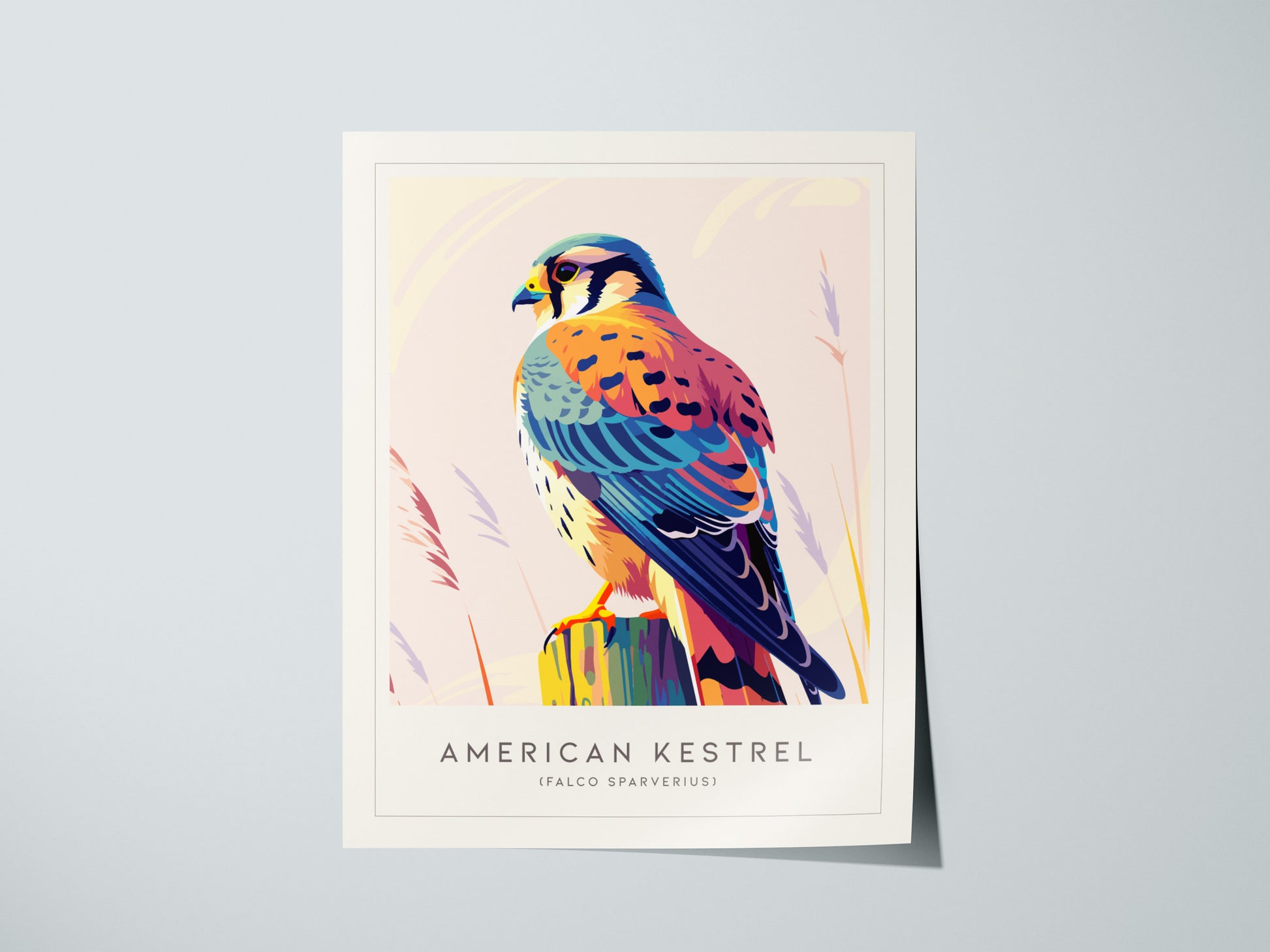 Print 01