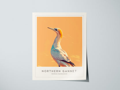 Northern Gannet, Morus bassanus Poster | Striking Seabird Wildlife Print Wall Art — giclée print detail on matte paper