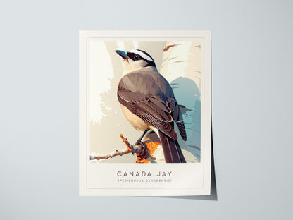 Canada Jay, Perisoreus canadensis Poster | Bold Boreal Bird Wall Art — giclée print detail on matte paper