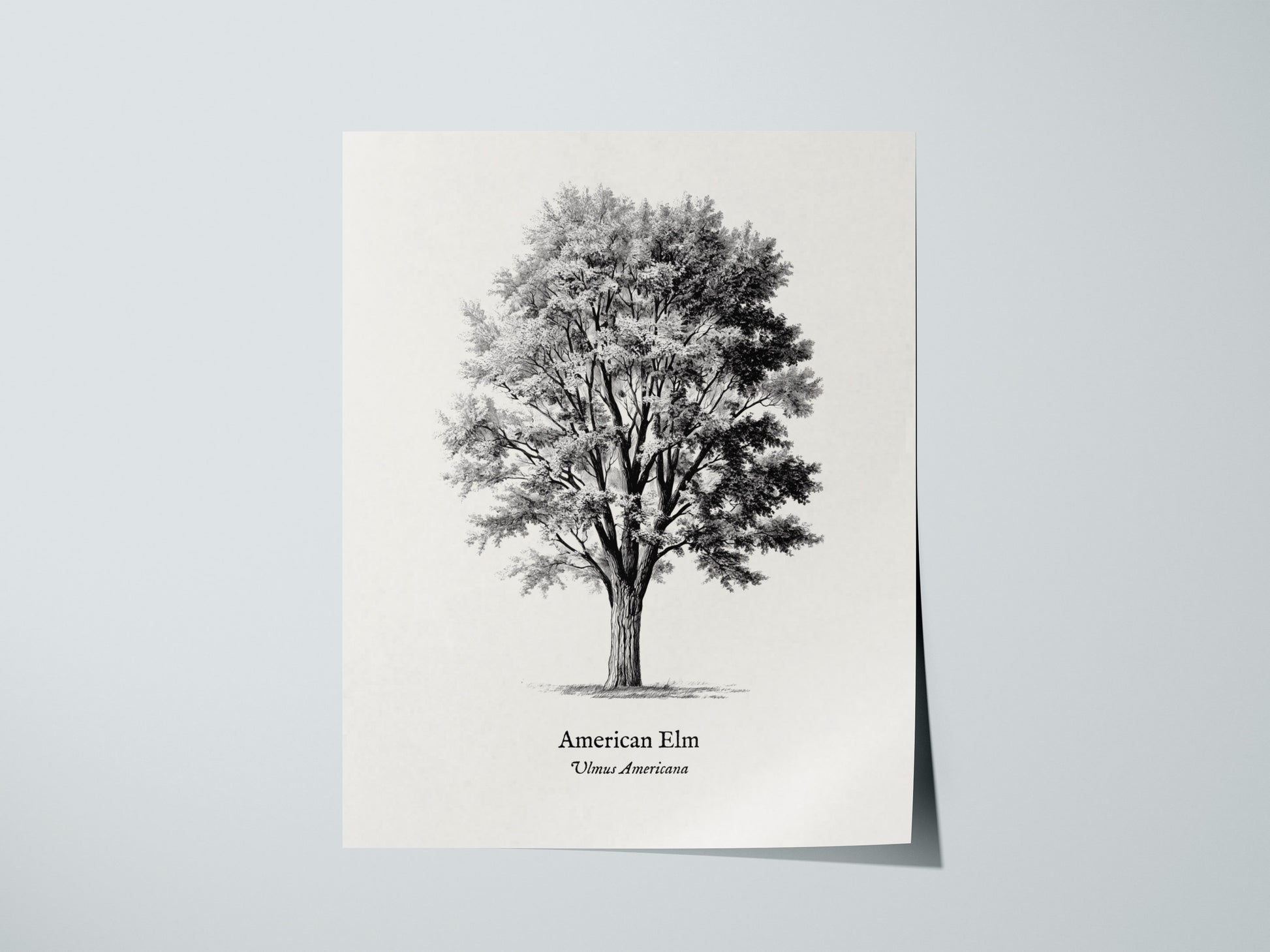 Print 01