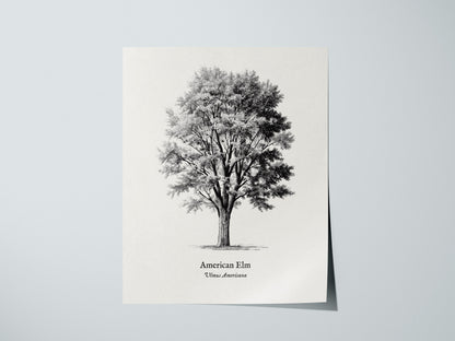 Print 01