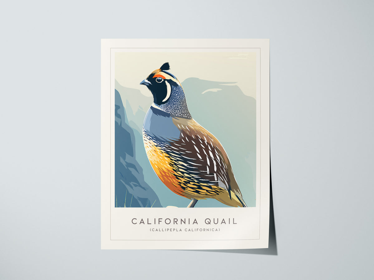 California Quail Poster | Golden State Bird Illustration Wall Art — giclée print detail on matte paper