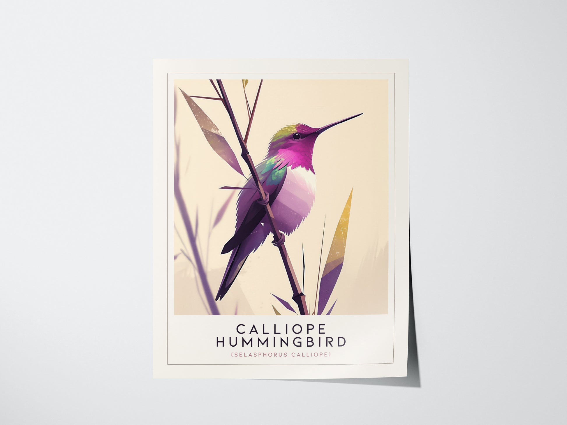 Calliope Hummingbird Audubon Print | Bird Lover Wall Art | Framed or Unframed