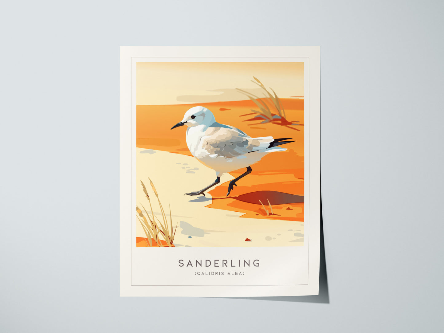 Print 01