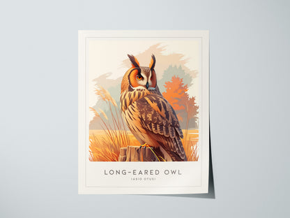Long-eared Owl, Asio otus Poster | Mysterious Forest Raptor Bird Wall Art — giclée print detail on matte paper