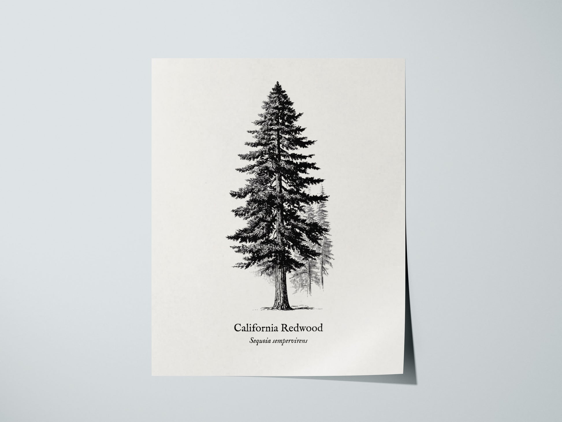 Print 01