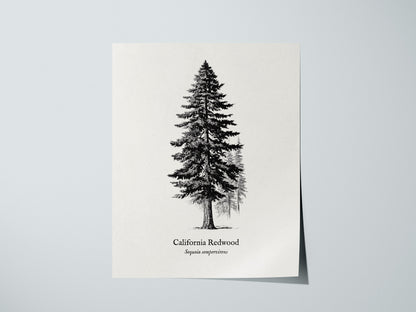 Print 01