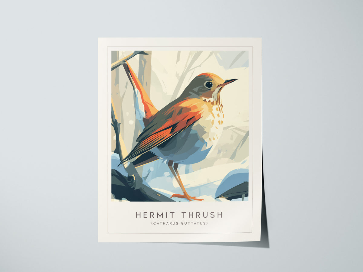 Hermit Thrush Poster | Woodland Songbird Forest Art Wall Art — giclée print detail on matte paper