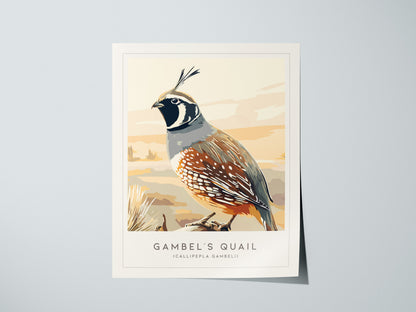 Gambel's Quail, Callipepla gambeli Poster | Desert Bird Wall Art Wildlife Print — giclée print detail on matte paper