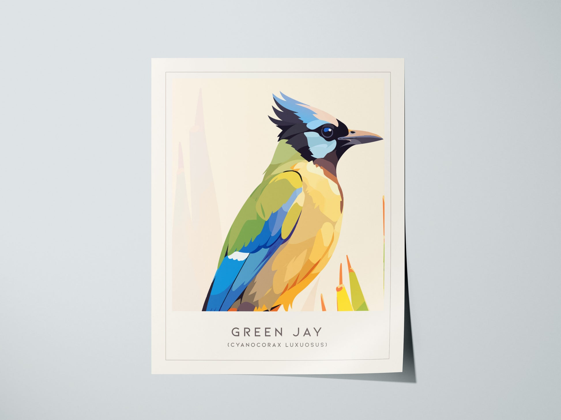 Green Jay, Cyanocorax luxuosus Poster | Tropical Bird Wall Art — giclée print detail on matte paper