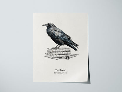 The Raven Poster | Corvus Nevermore Pen and Ink Print Zoological Illustration Wall Art — giclée print detail on matte paper